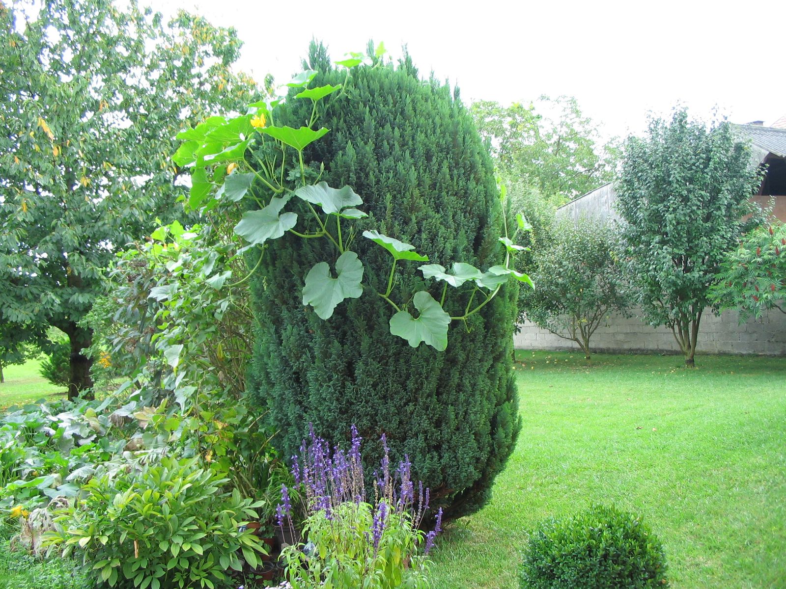 Etreinte artistique au jardin