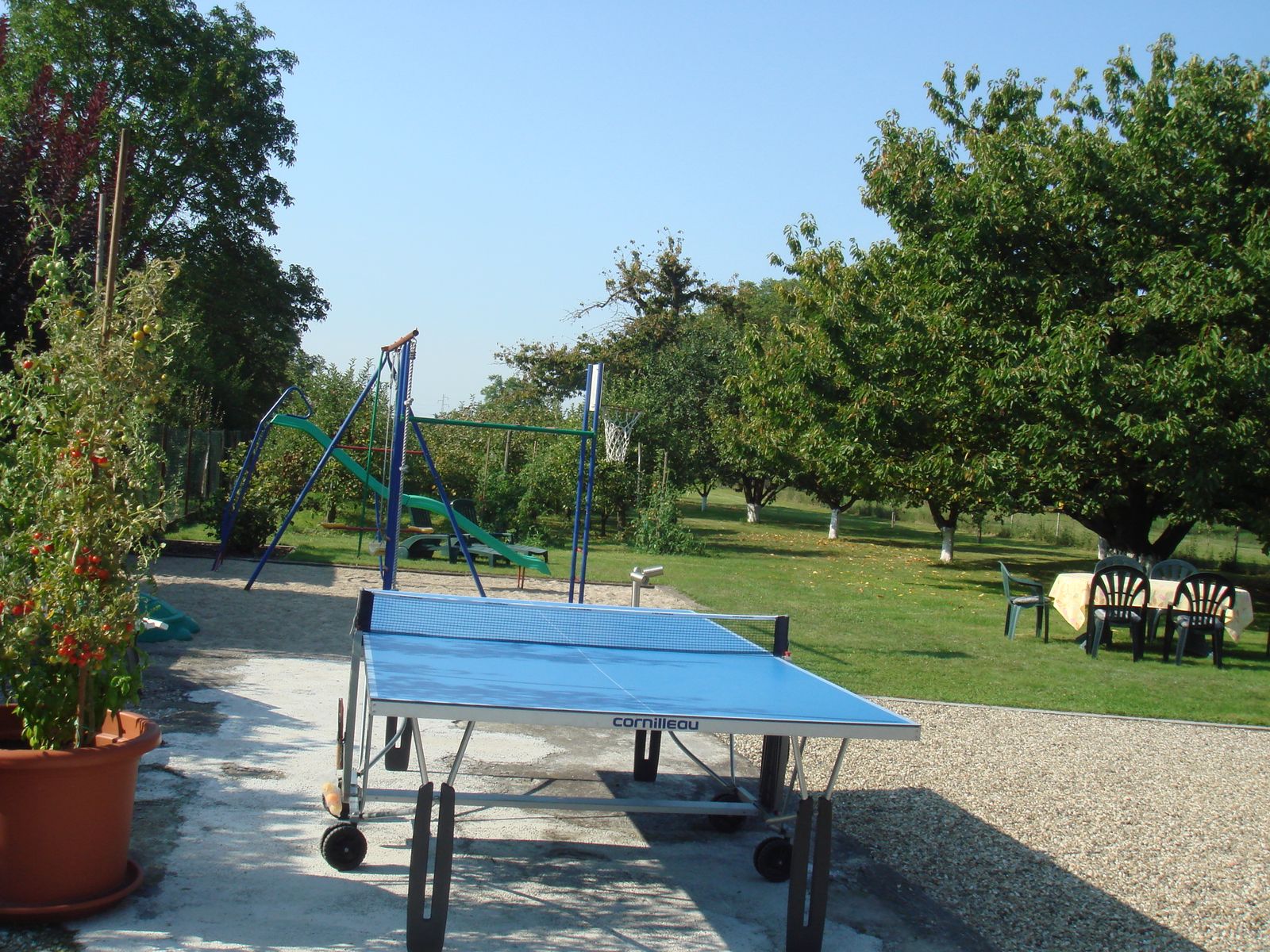 TABLE DE PING - PONG