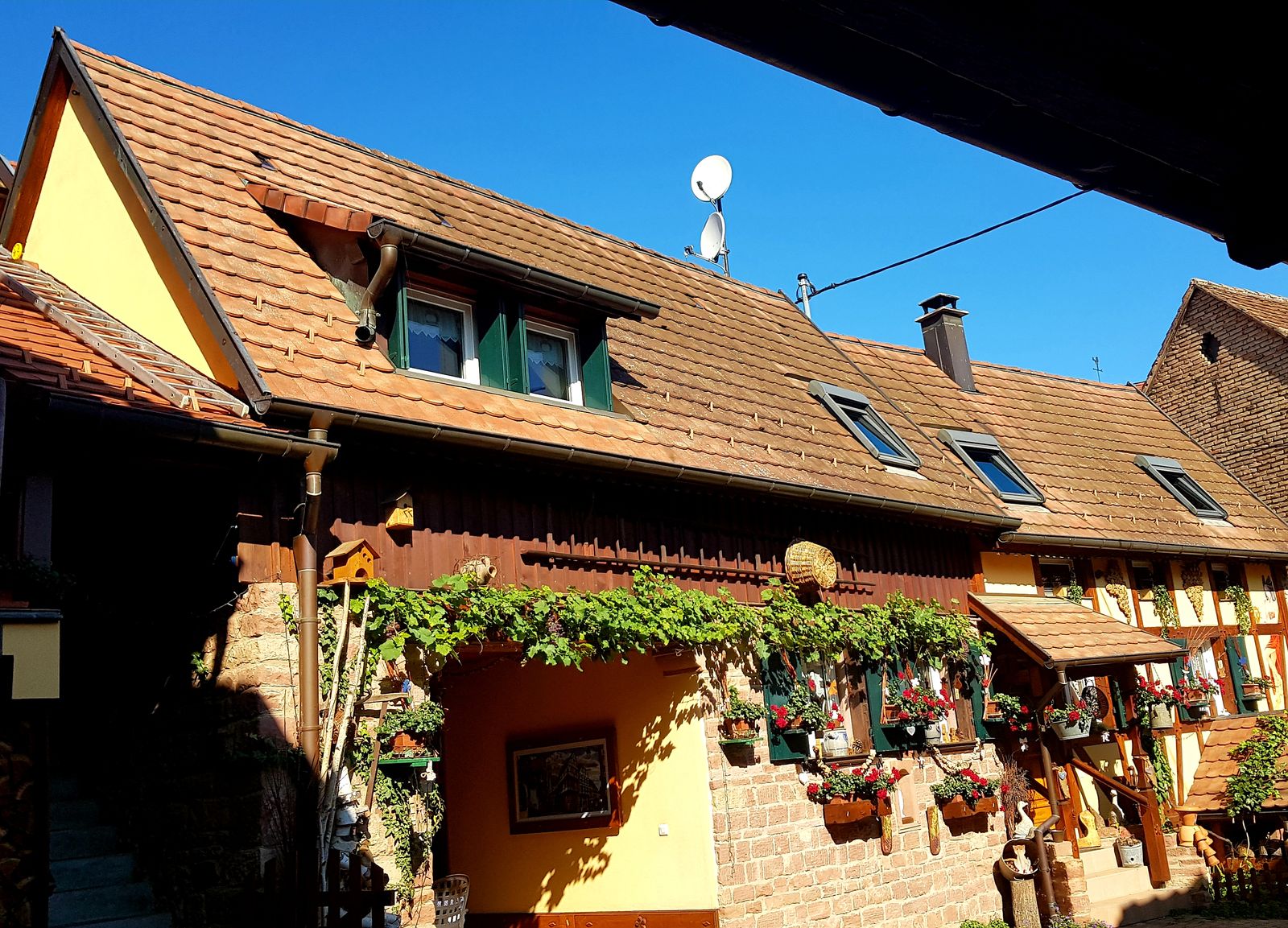 Seconde vue principale  de notre gîte situé à F 67560 Rosenwiller