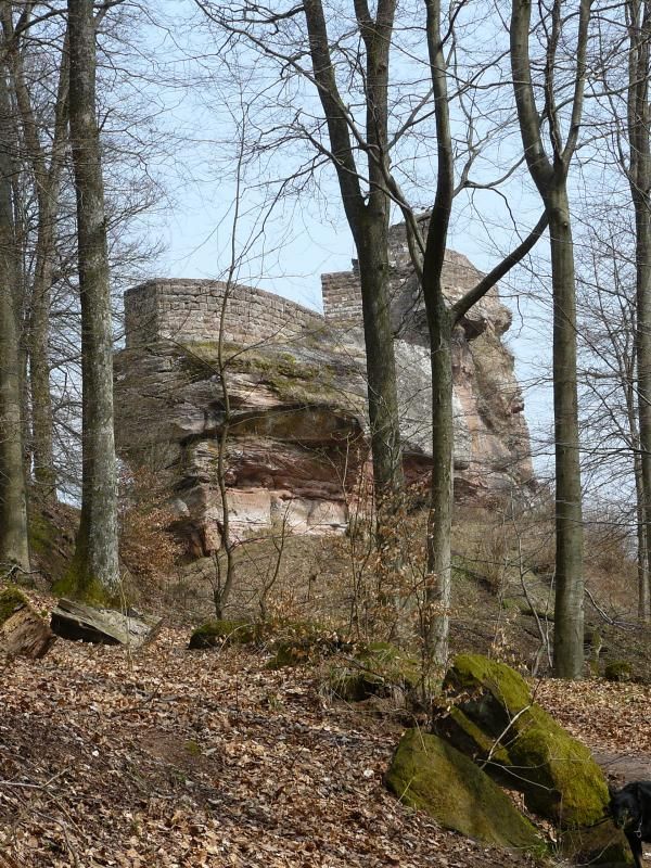 Le grès des Vosges