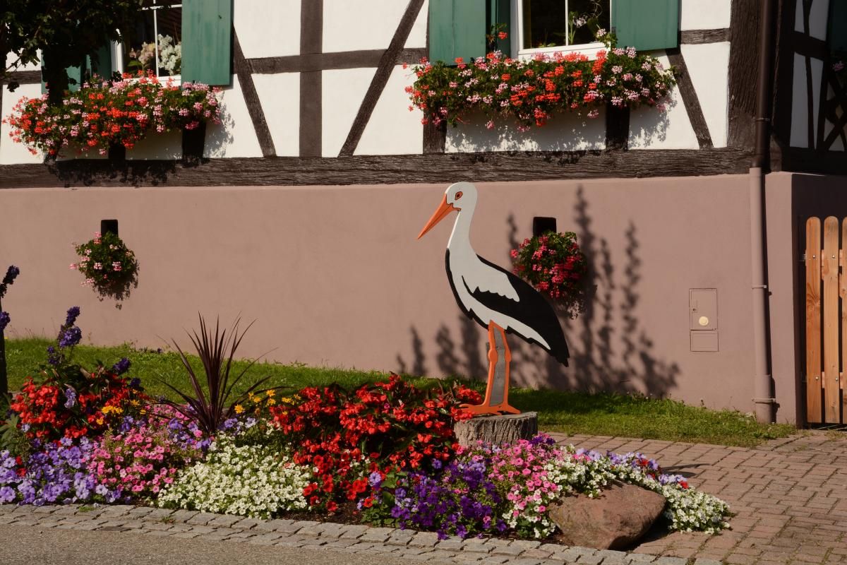 Village fleuri