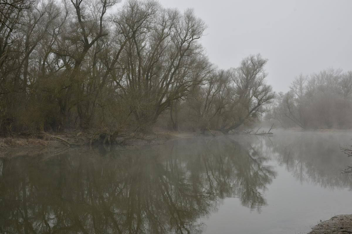 Le delta de la Sauer