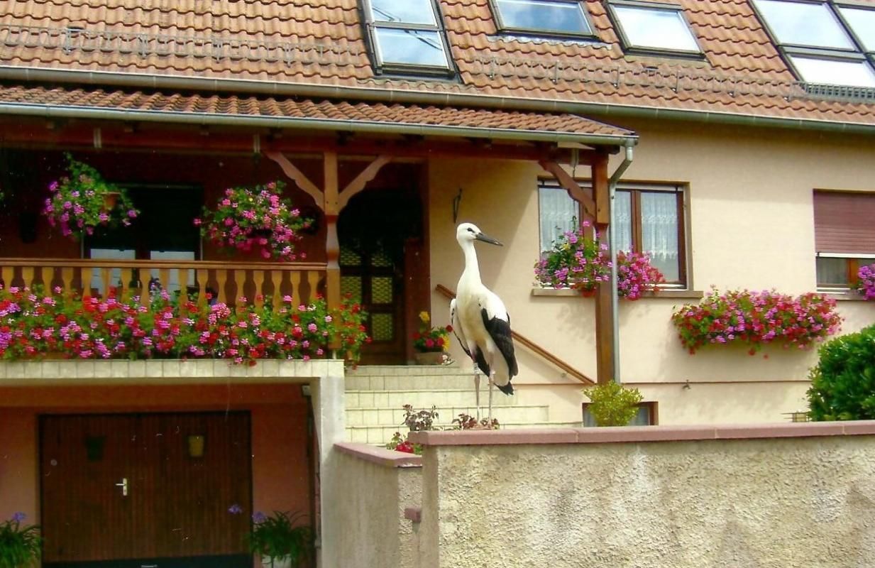entrée principale du propriétaire