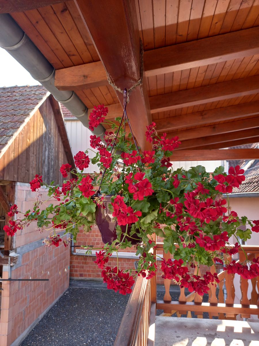 balcon du gîte