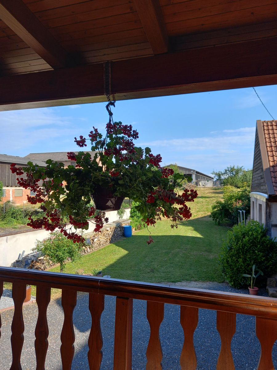 vue balcon du gîte