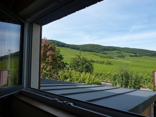 Le sentier des vignes