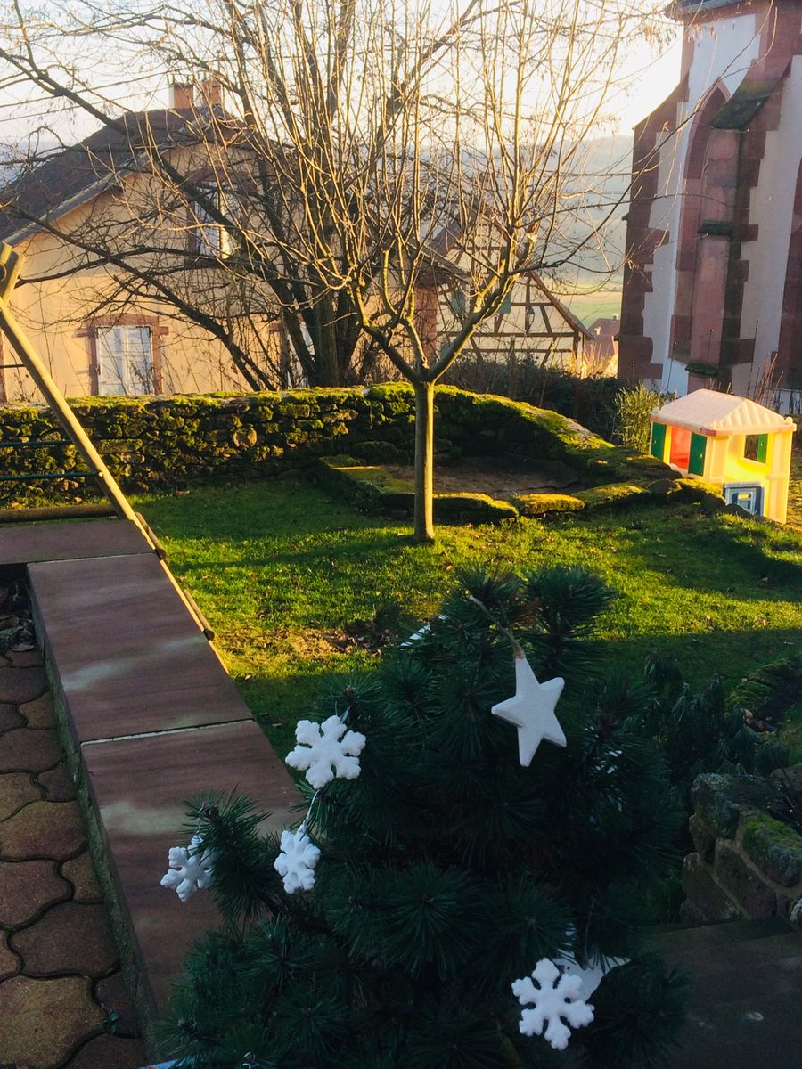 jardin ensoleillé en hiver