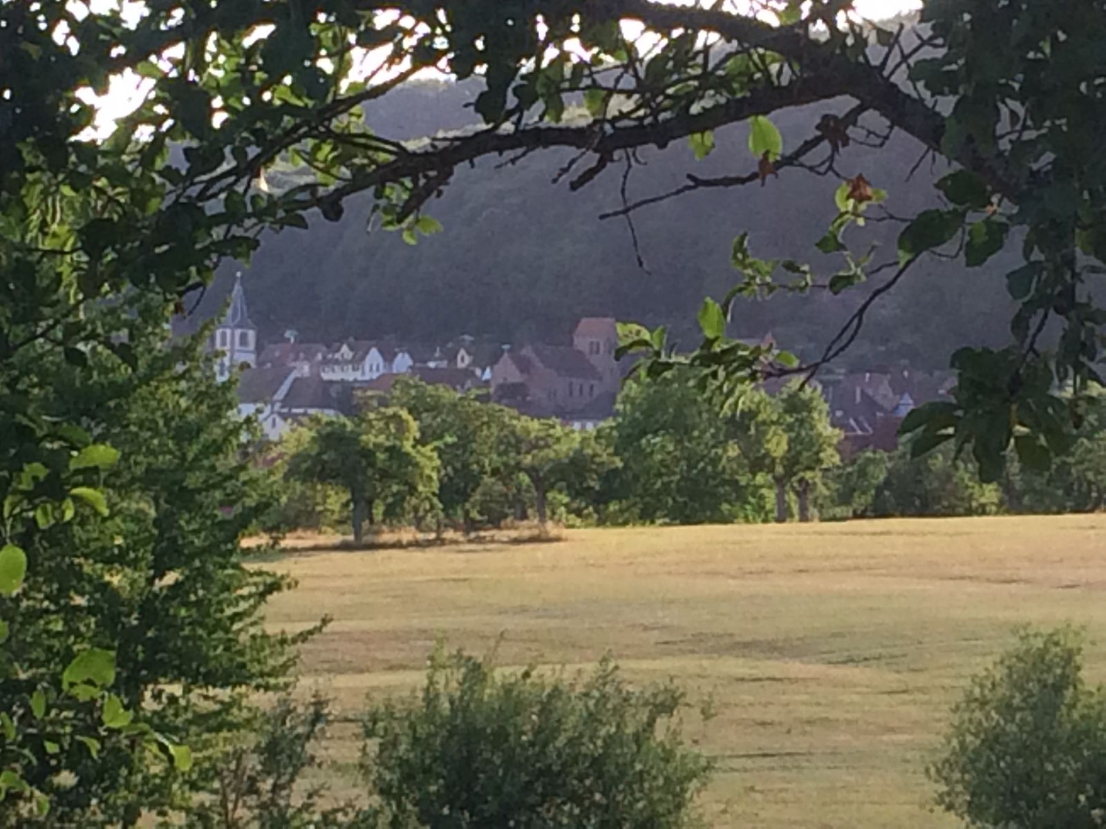 Oberbronn en été