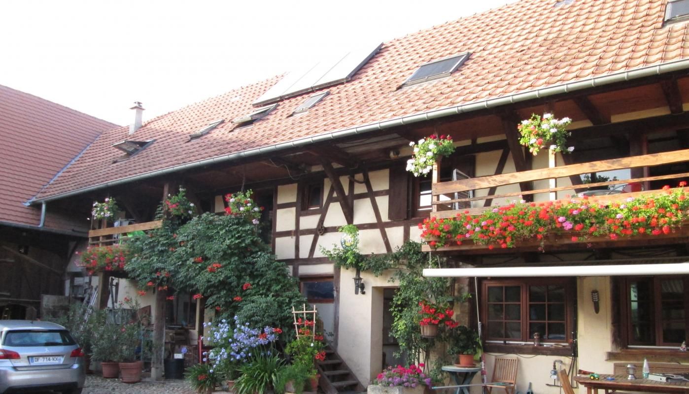 extérieur de nos gîtes