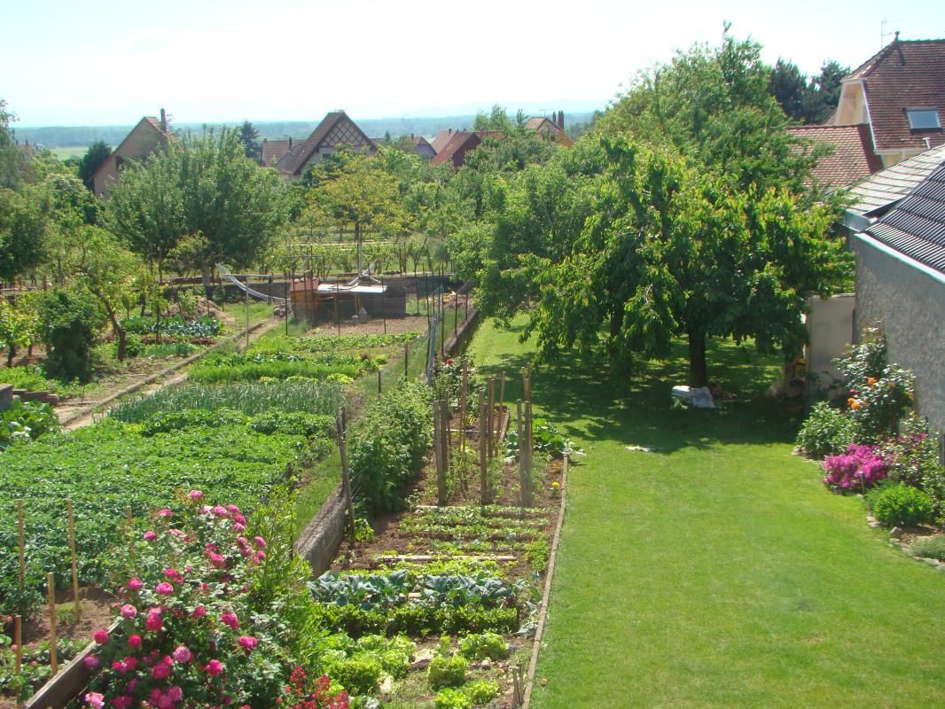 Gîte du coucou
