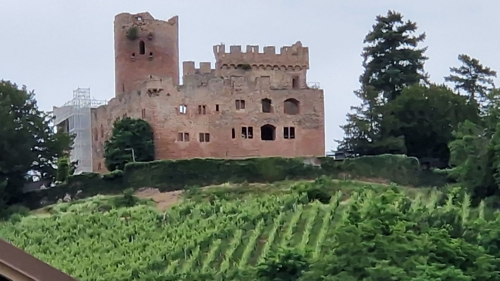 Gîte du coucou