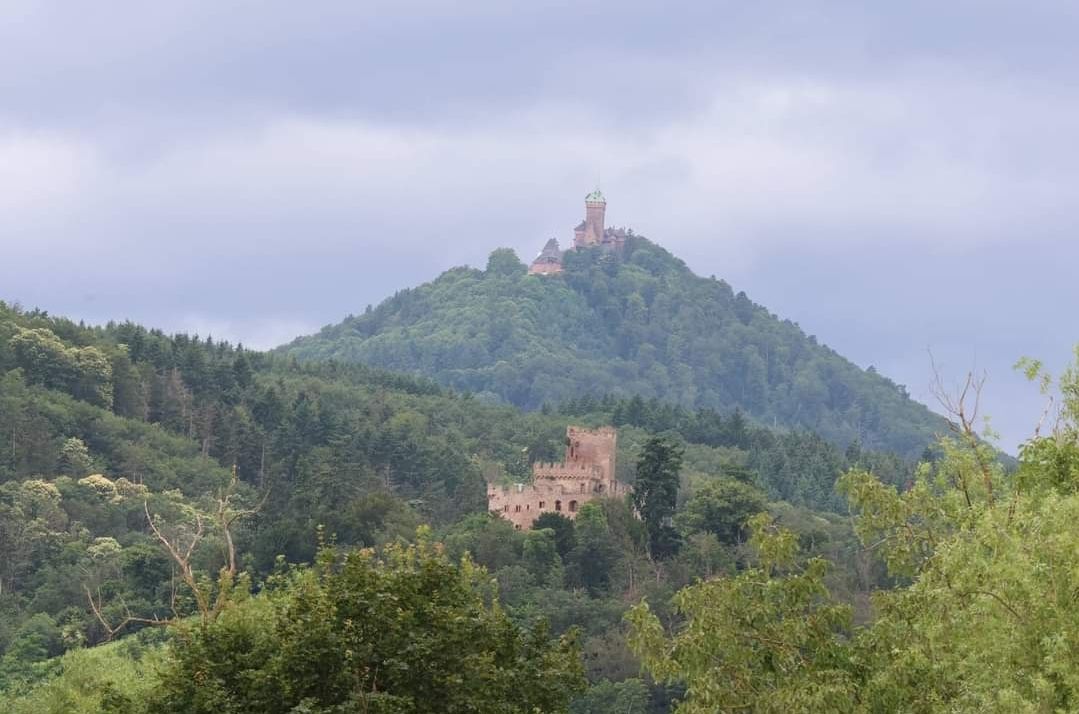 Les châteaux de Kintzheim