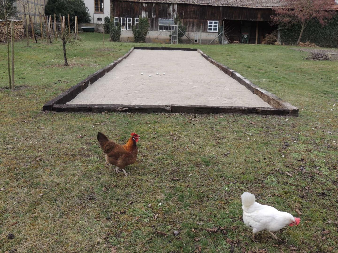 Le terrain de pétanque