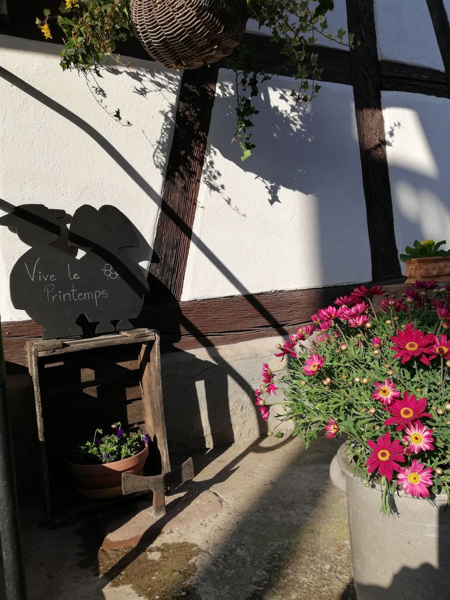 La Maison Alsacienne