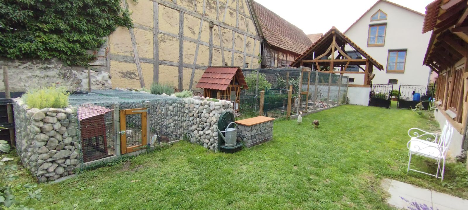 Les animaux de la ferme