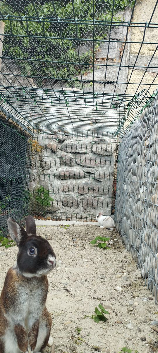 Louna et Praline