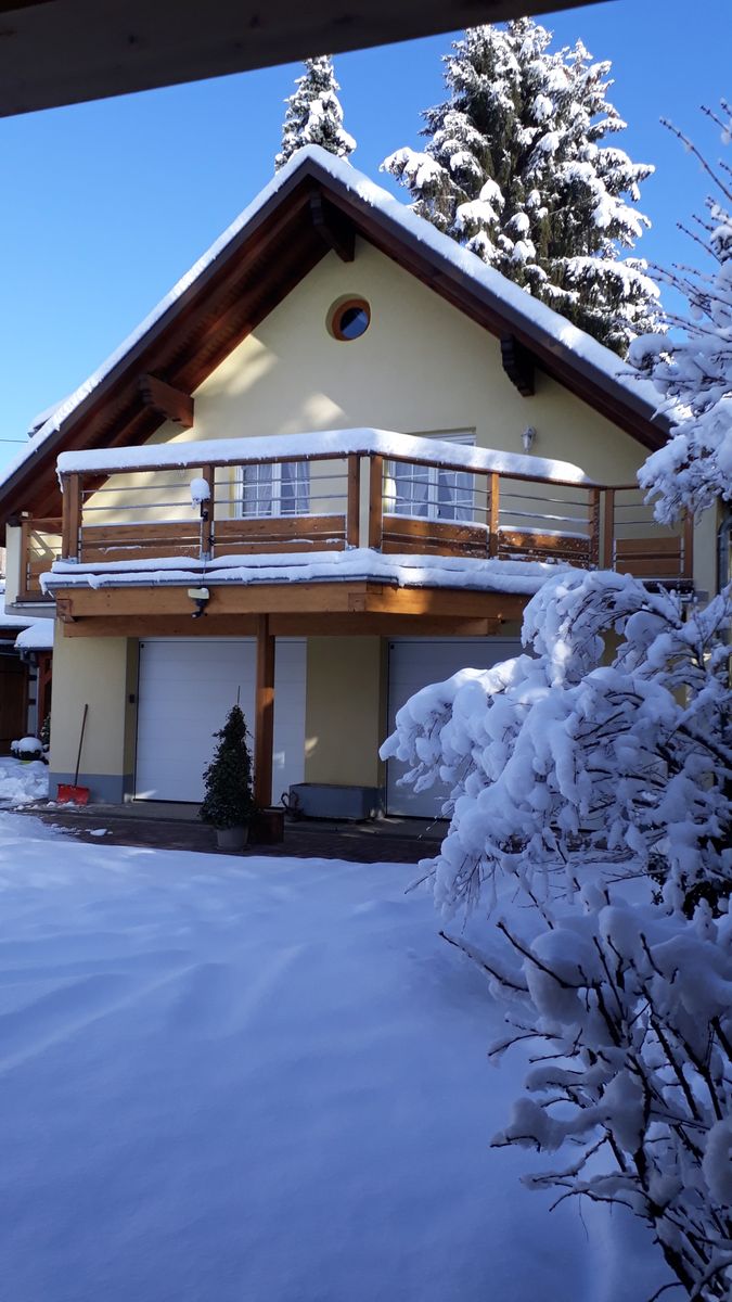 Janvier 2021... parfois il neige en Alsace