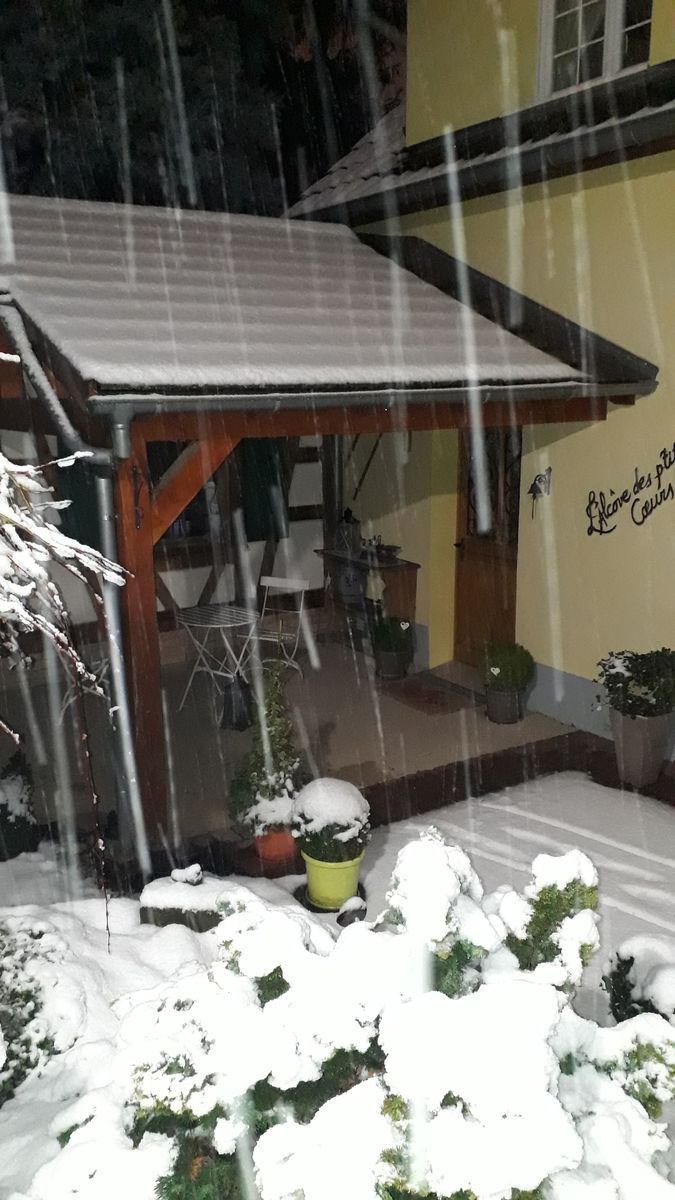 Janvier 2021... parfois il neige en Alsace
