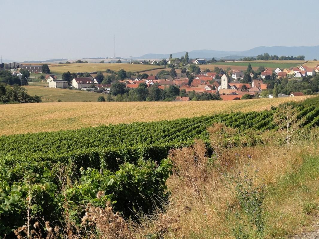 Le village de Kienheim