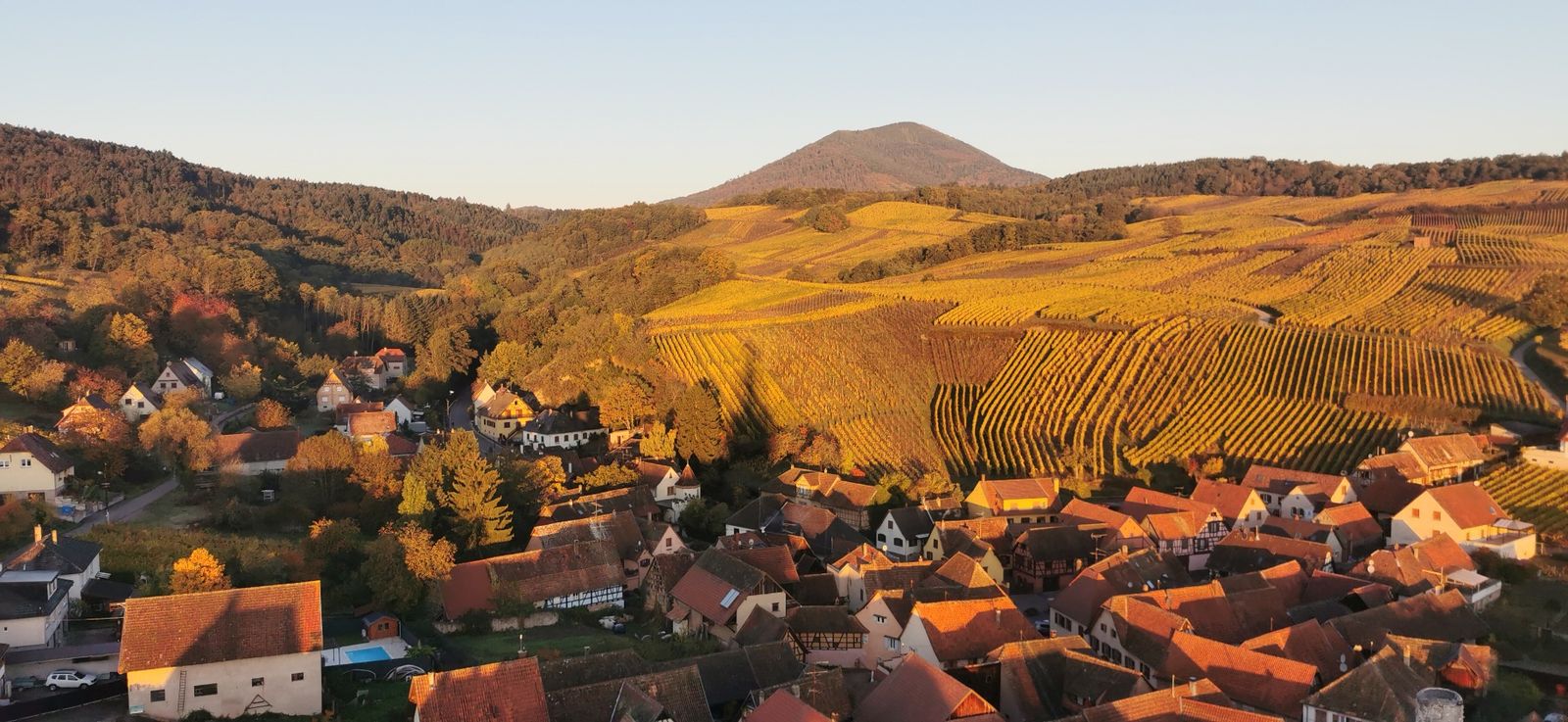 Chez Güscht