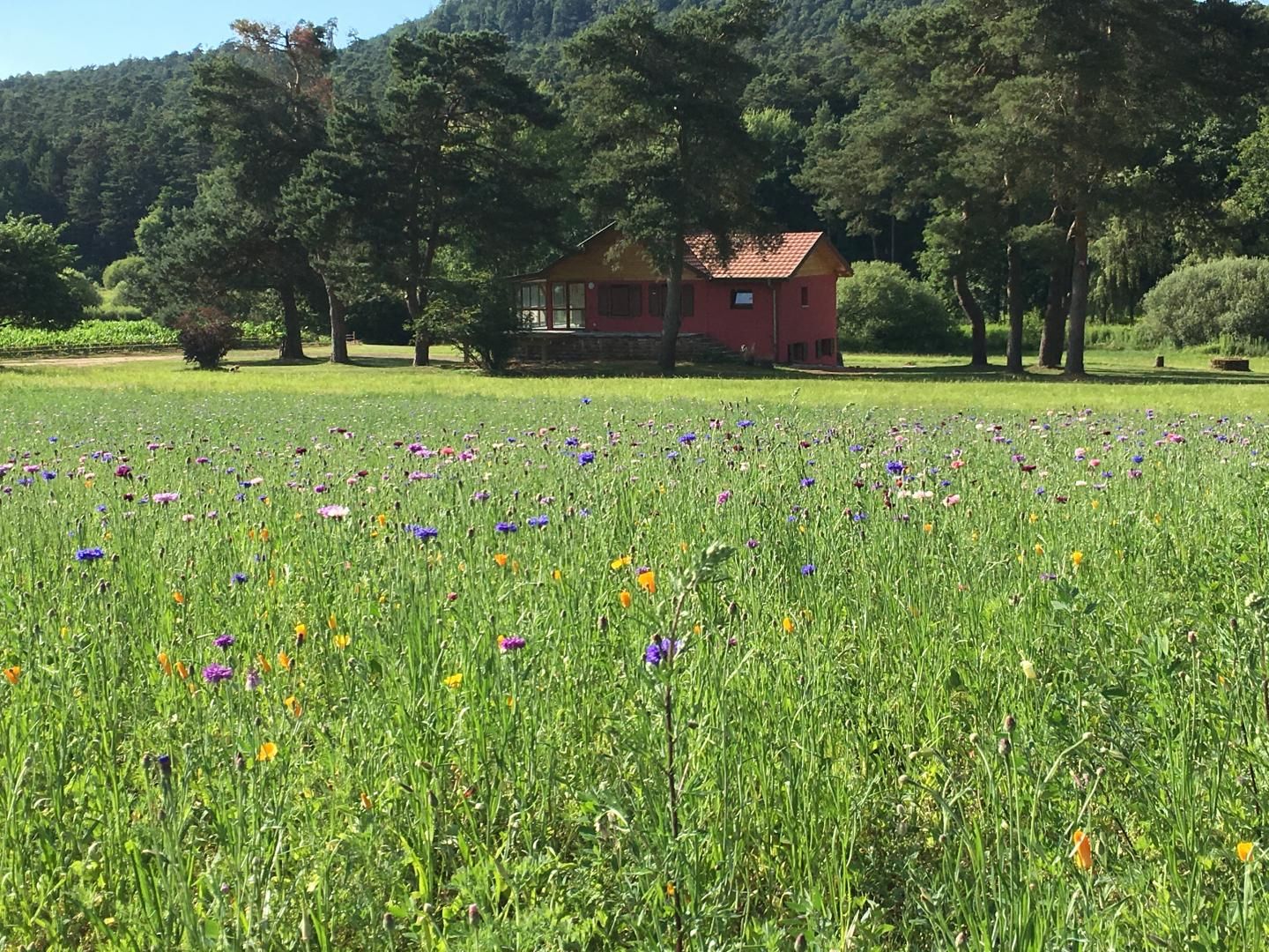 La Maison dans la Prairie