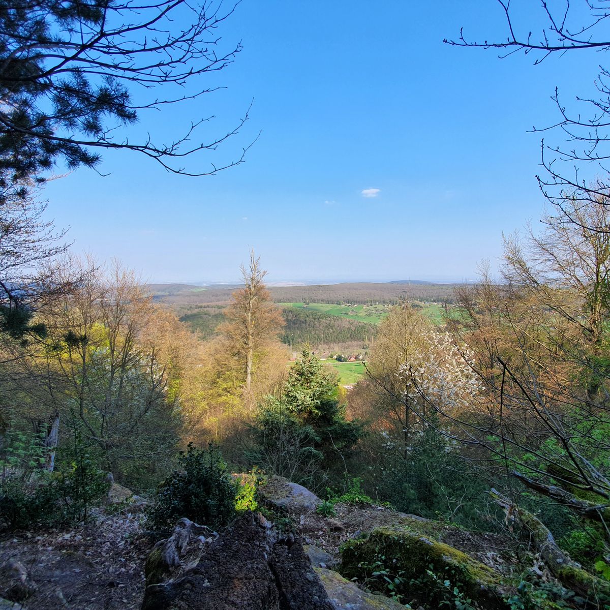 Panorama Le Mollberg