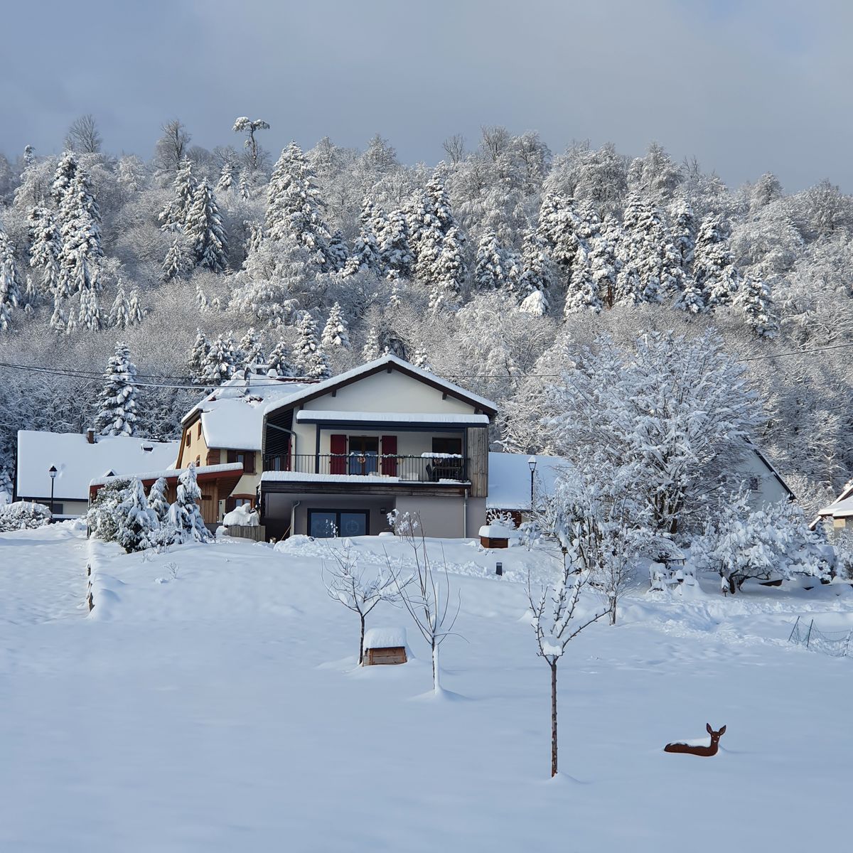 Gîte chez Alice
