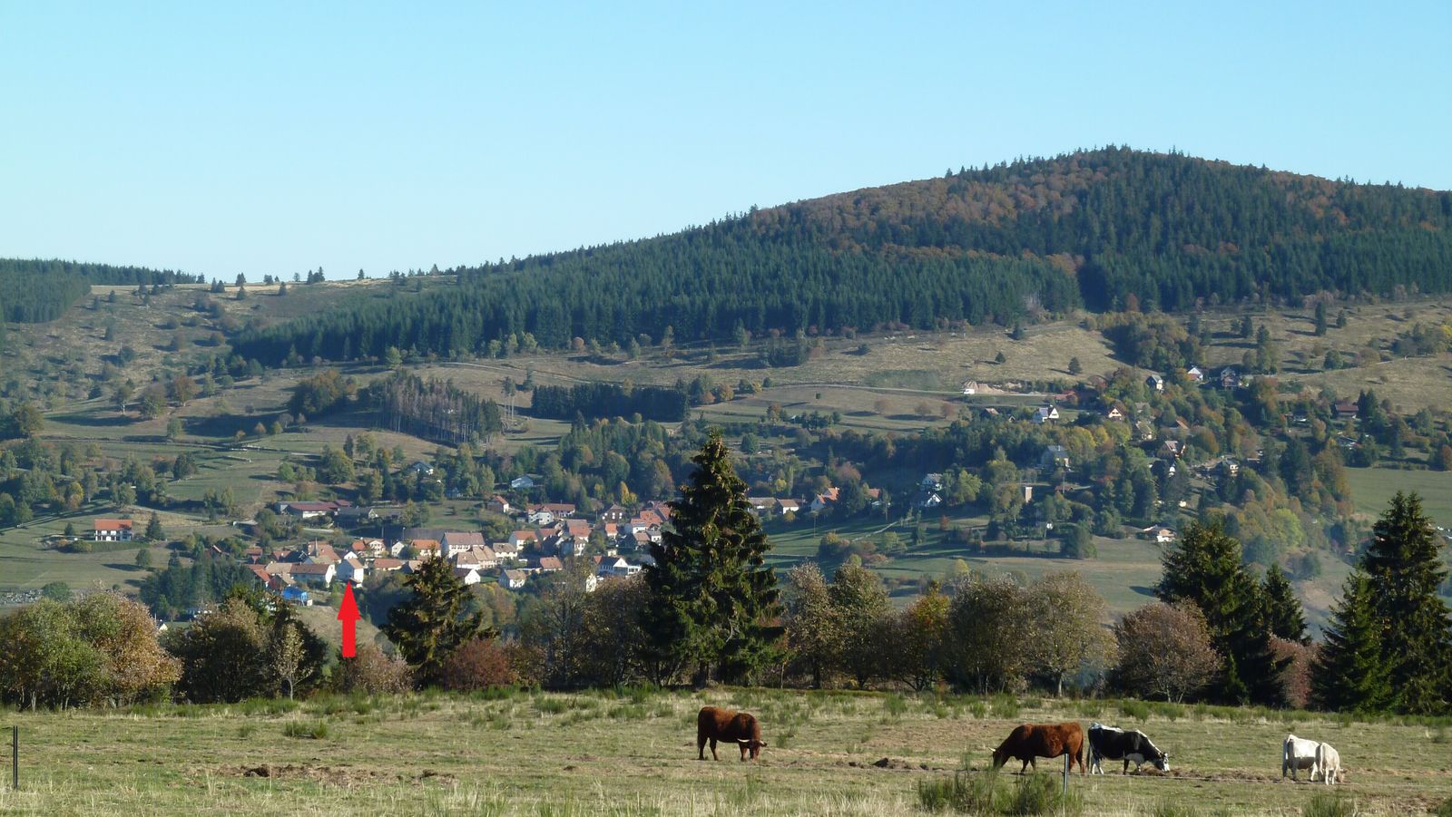 La Kintelau