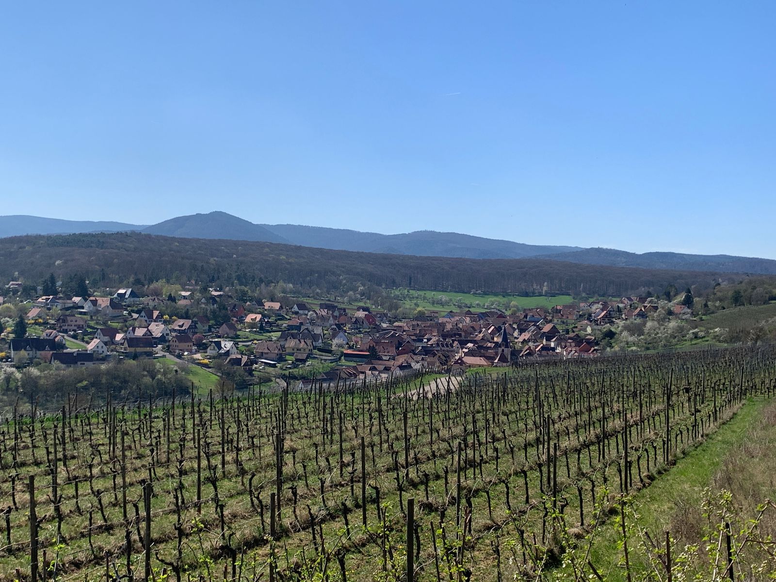 Gîte de la mésange 2
