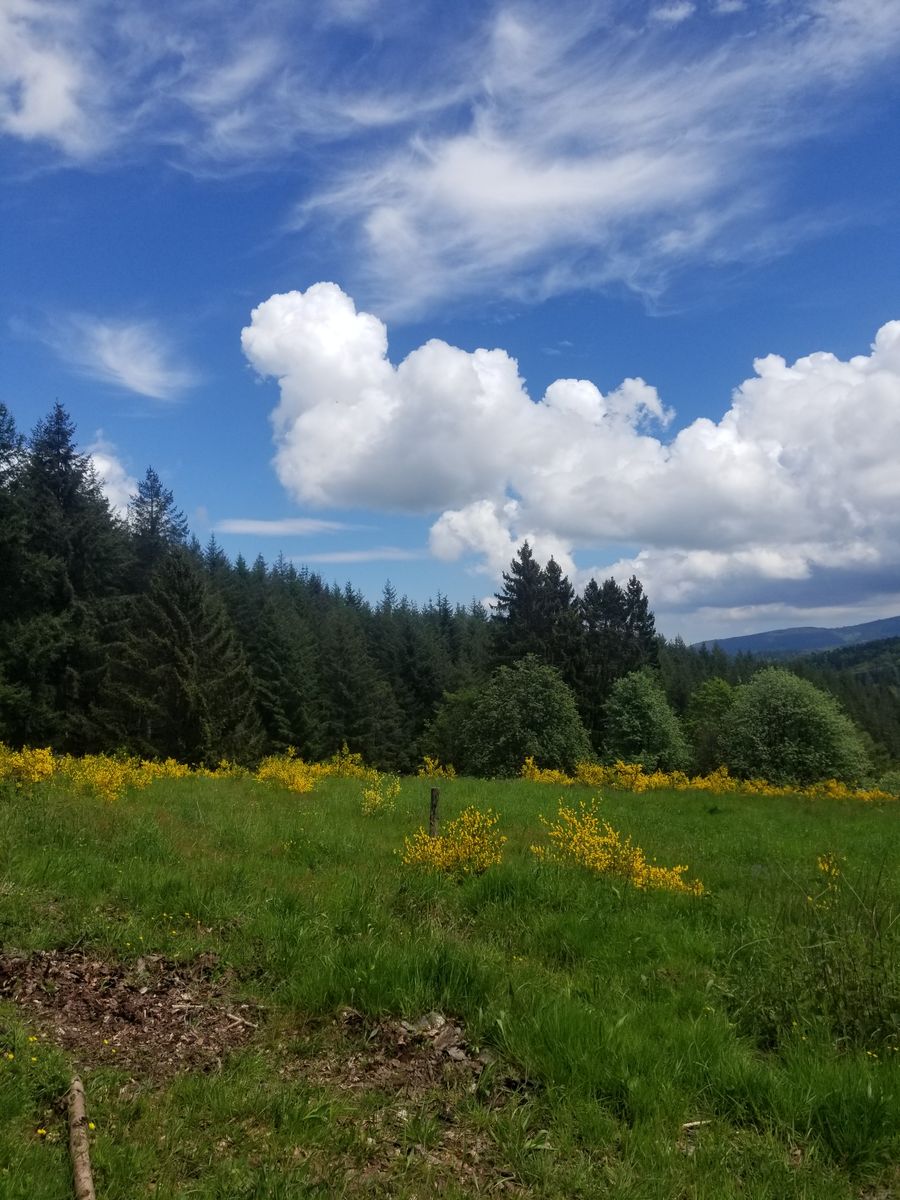 Gite la Roche