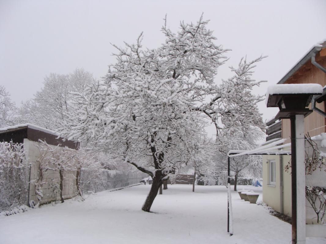 Le jardin sous la neige