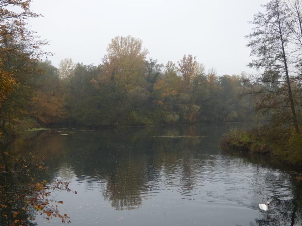 Ballade dans la foret classée réserve nature tout proche du gite.