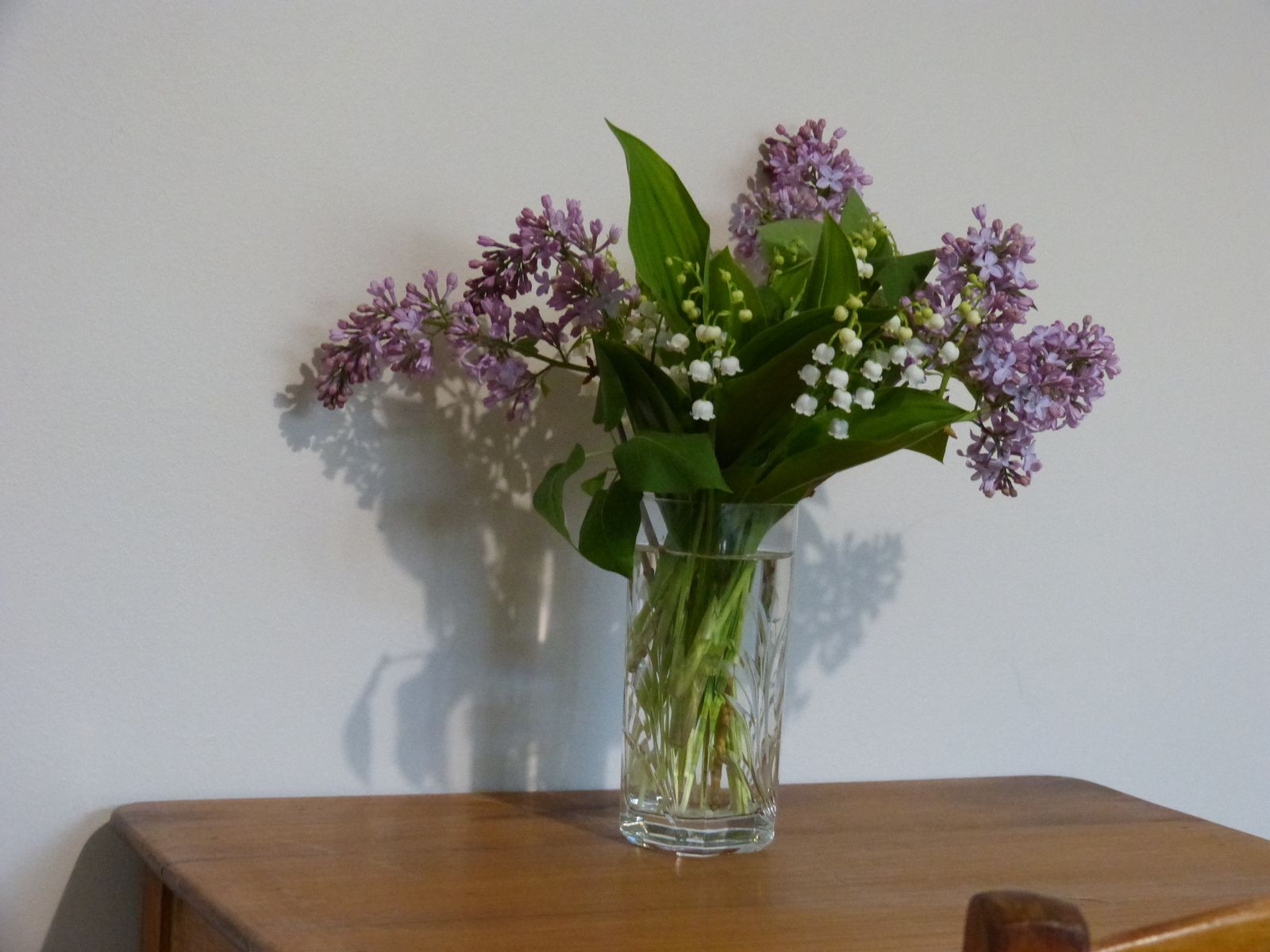 Le printemps et ses fleurs du jardins.