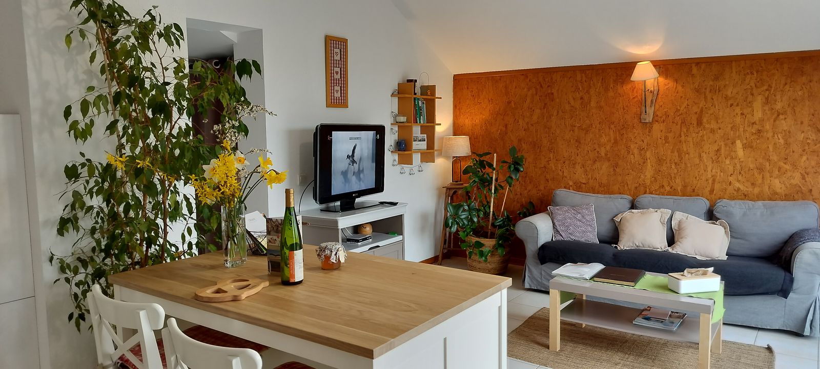 Logement "Les mirabelles"