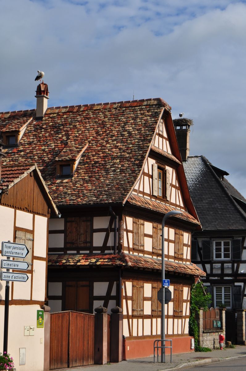 La voisine, la cigogne