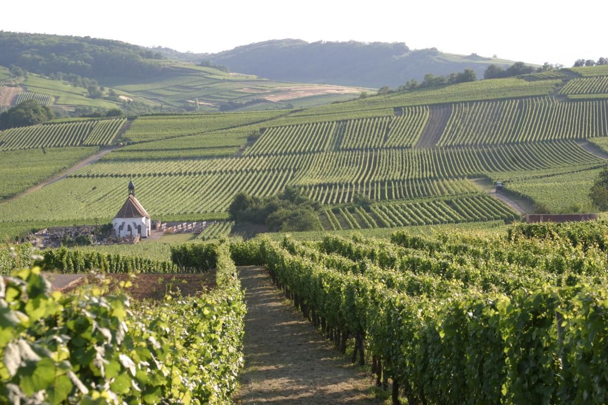 Gîte Le Riesling