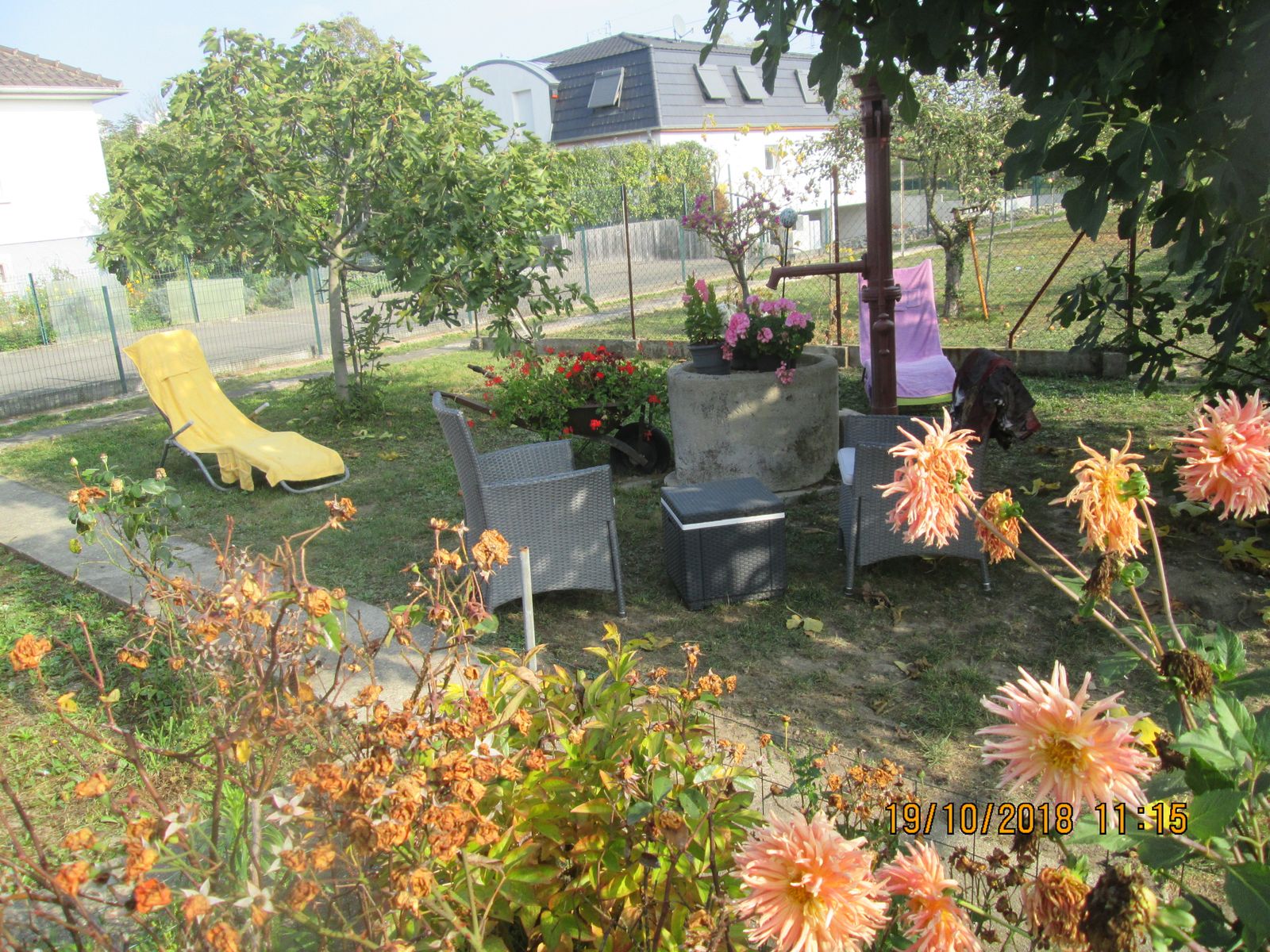 coin jardin