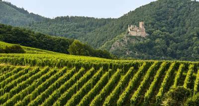 Route des vins