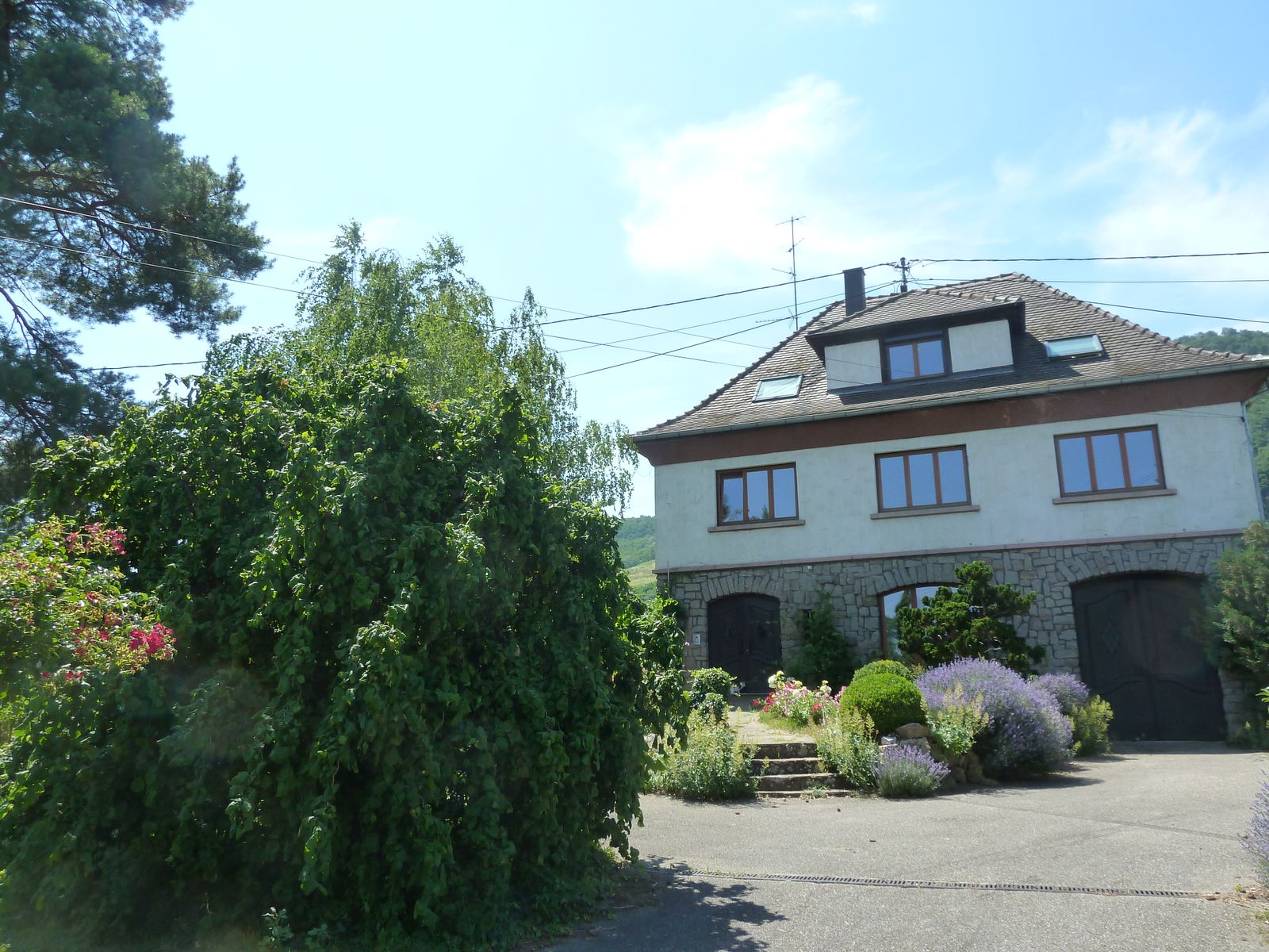 Gîte au pied des vignes