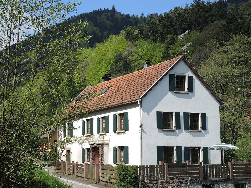 vue d'ensemble, au coeur  de la montagne vosgienne