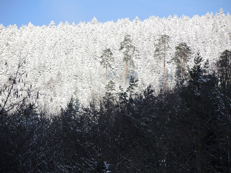 ambiances de fin d'année