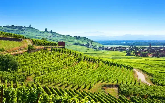 La route des vins