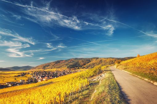 Au Pied du Vignoble