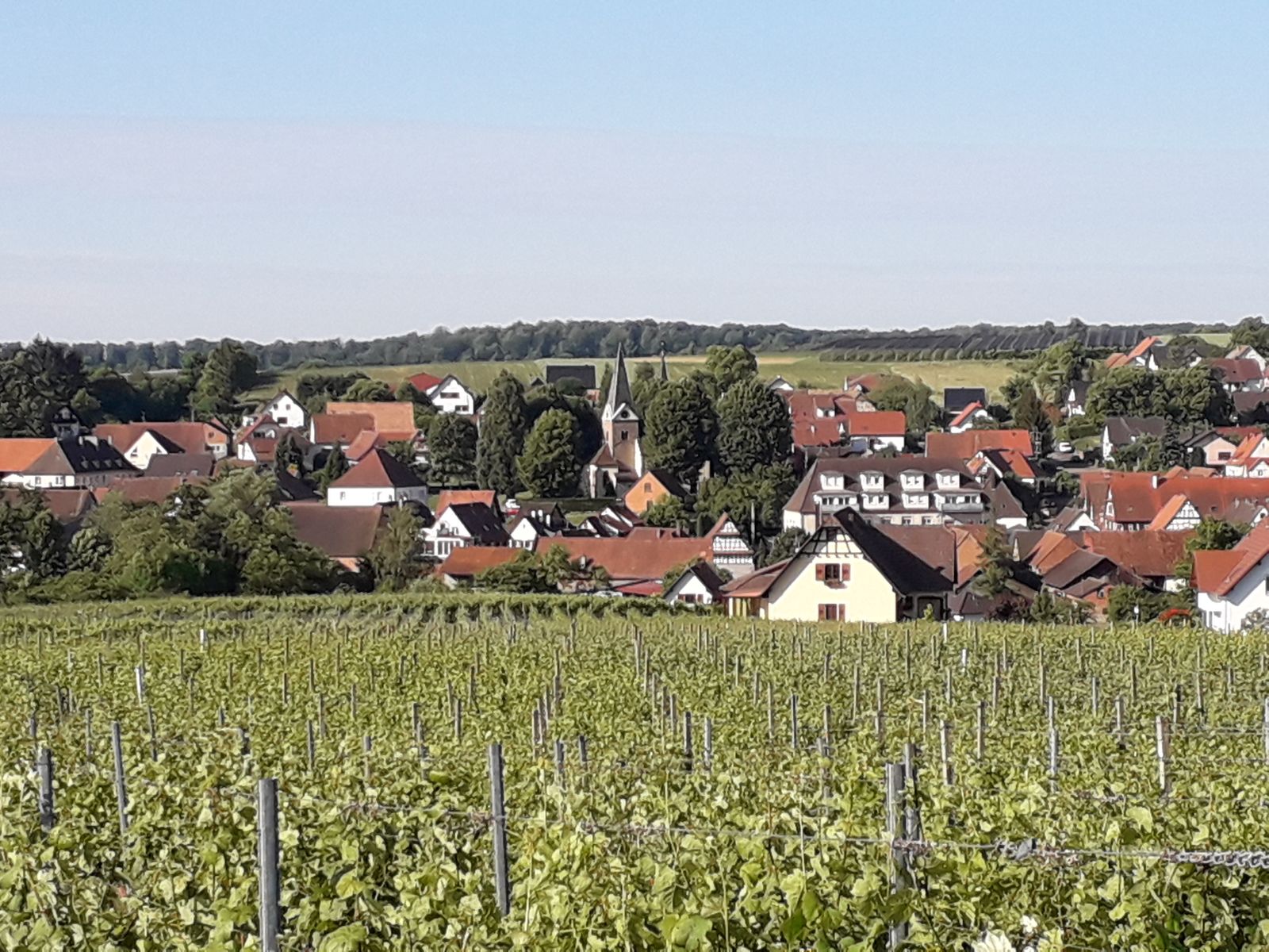 Steinseltz