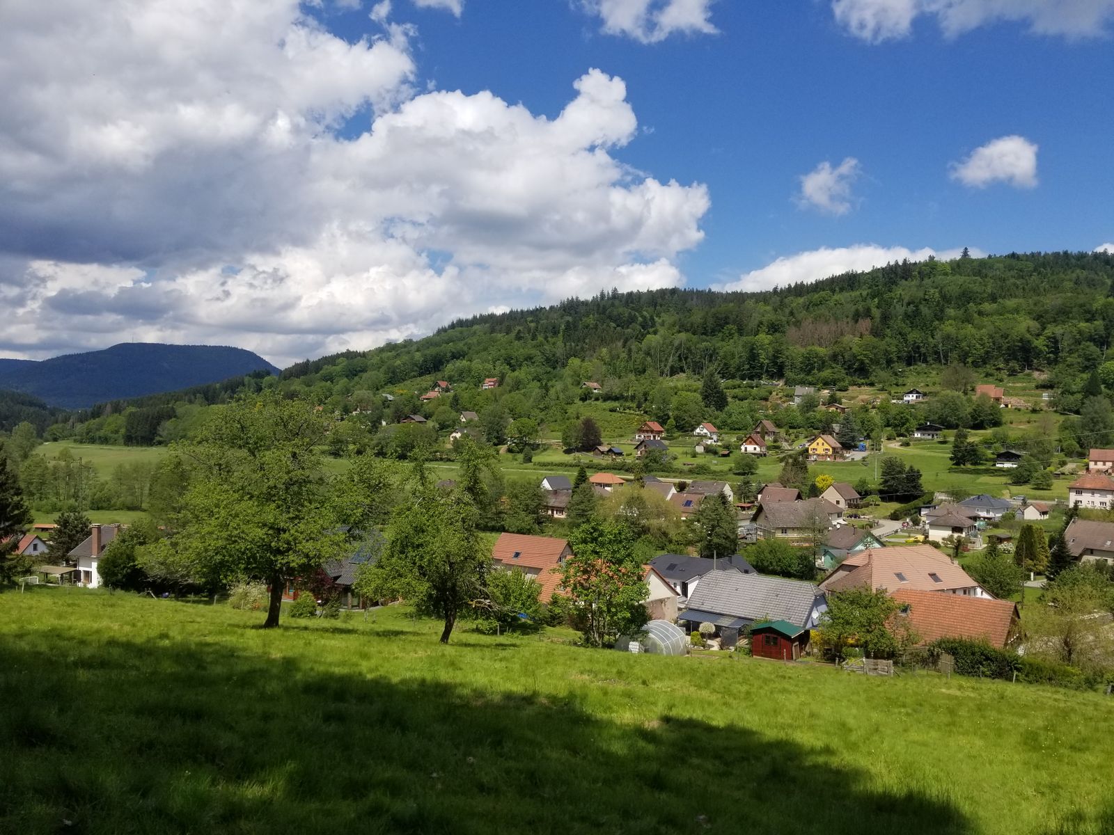 La Colline du Roy