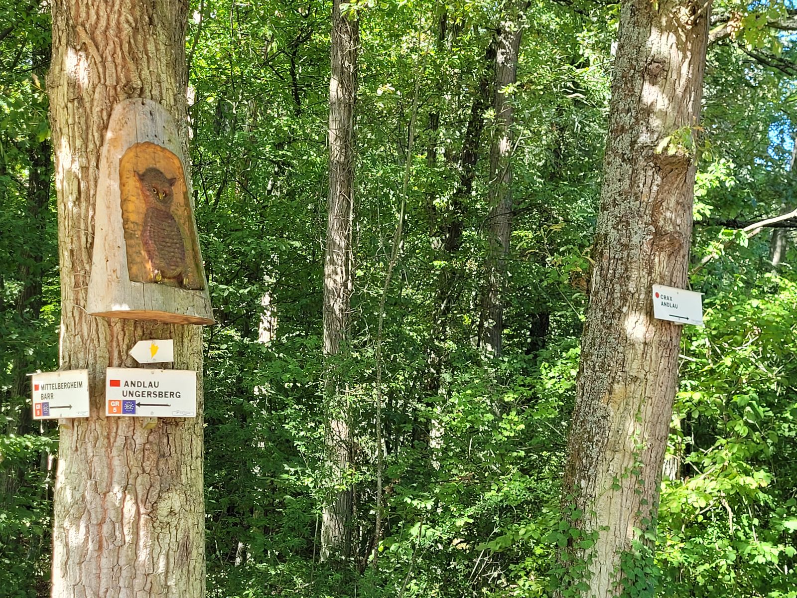 Départ des sentiers au pied du gîte