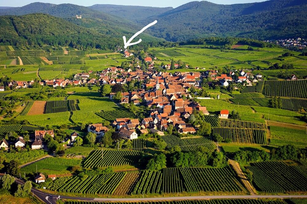 Vue aérienne de Mittelbergheim 
( emplacement du gîte pointé par la flèche)