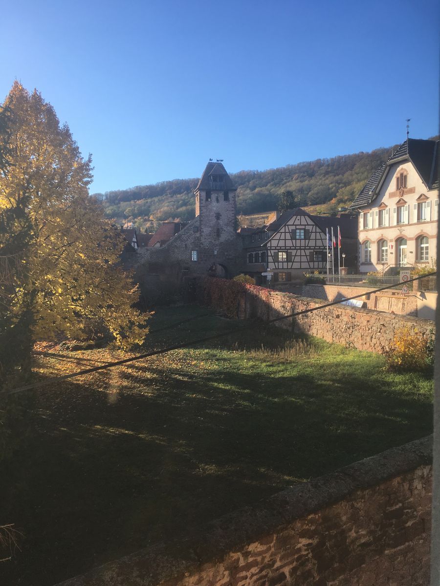 Vue du Niedertor