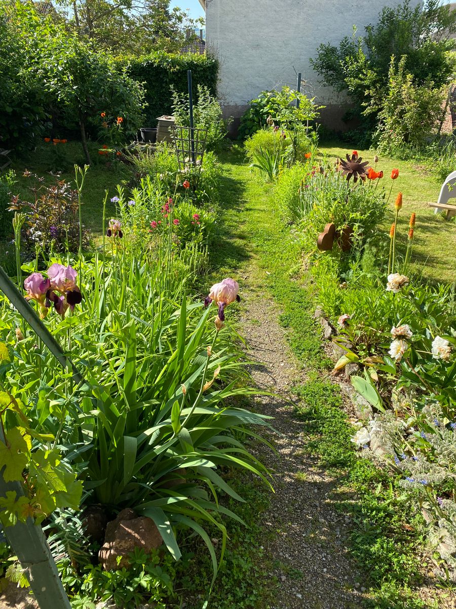 Le jardin