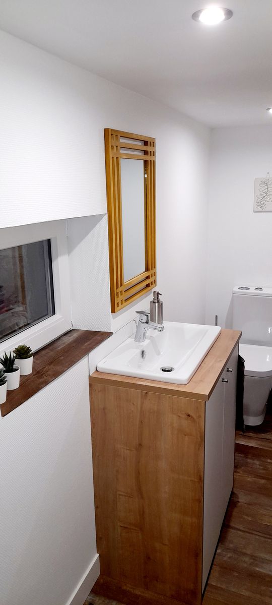 Espace buanderie avec toilette